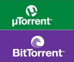 bittorrent and utorrent
