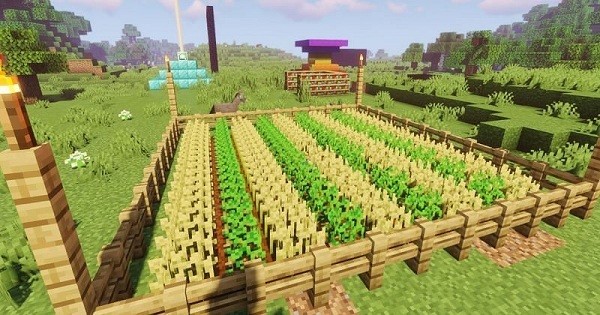 Minecraft Farms 