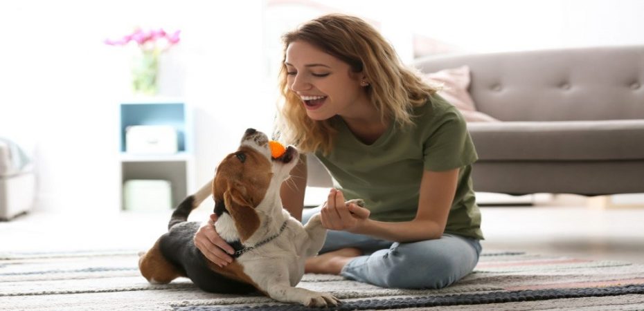 How to Find the Best Pet Insurance for Your Furry Friend