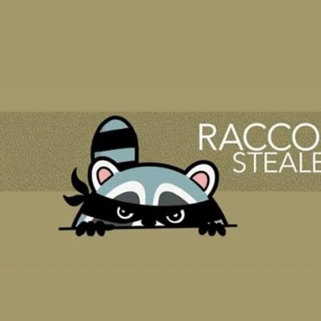 The Racoon Stealer Malware is Back - Organizations Need Protection Once More
