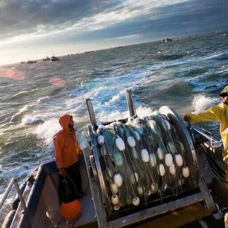 Everything You Need to Know About Crab Fishing Jobs
