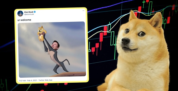 The Changes in Dogecoin