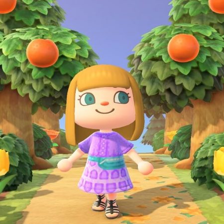 Animal Crossing: New Horizon Is Getting a Giant Guide Book 3 Years After Its Release
