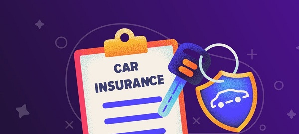 Check for Licenses and Insurance