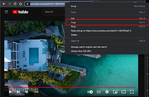 Step 2 – Copy the URL of the video you wish to download