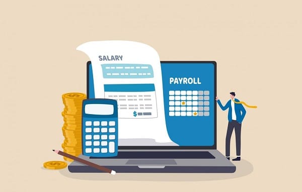 5 Key Considerations for Choosing Pay Stub Software