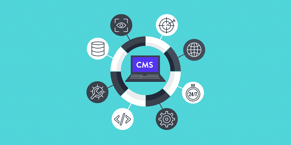 Content Management Systems (CMS): Streamlining Management 