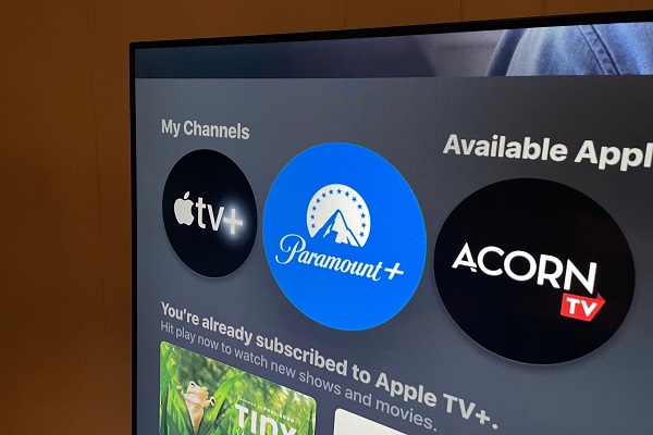 Should I Check My Subscription Before Streaming Paramount Plus On Amazon?