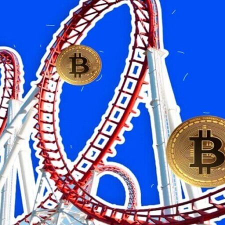 Long-Term Strategies for Riding Bitcoin's Rollercoaster - Beyond Volatility