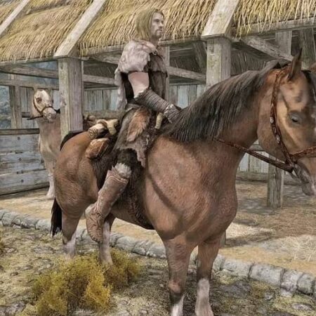 Skyrim Glitch Replaces an NPC’s Head with a Horse Head